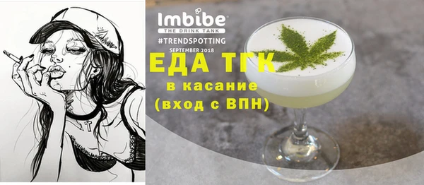 молекула духа Богородицк