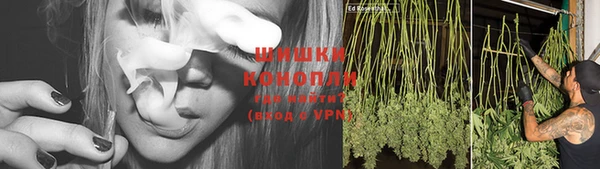 молекула духа Богородицк
