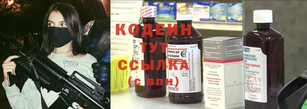молекула духа Богородицк