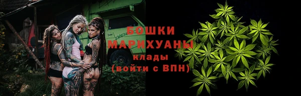 крисы Богданович
