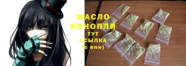 молекула духа Богородицк