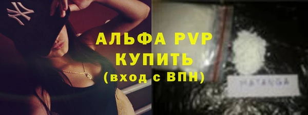 молекула духа Богородицк