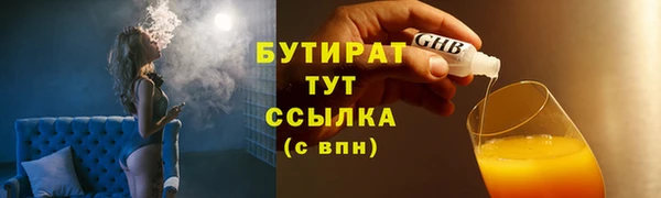 молекула духа Богородицк