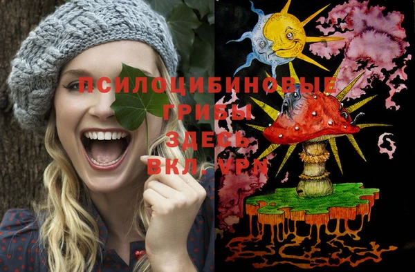 крисы Богданович