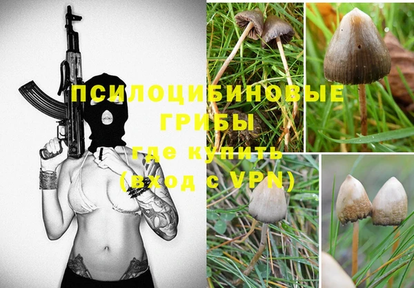 молекула духа Богородицк