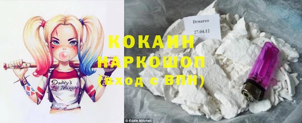 молекула духа Богородицк