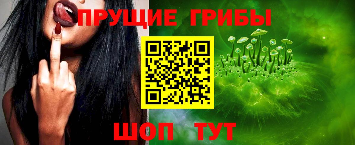 Галлюциногенные грибы Cubensis Бутурлиновка