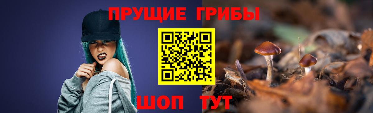 Псилоцибиновые грибы Magic Shrooms  Вход с VPN  Псилоцибиновые грибы Psilocybe  Бутурлиновка 